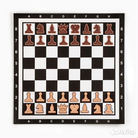 Шахматы набор для группового обучения