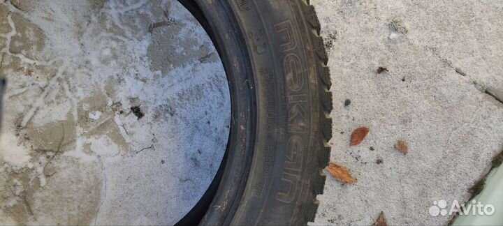Nokian Tyres Hakkapeliitta 5 205/55 R16