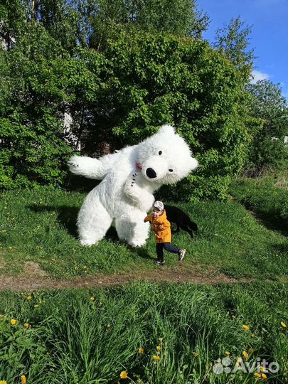 Белый мишка поздравление