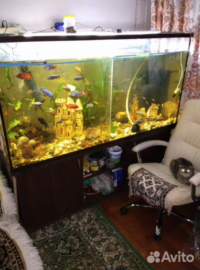 Аквариум 800л