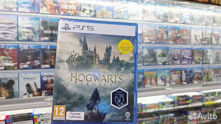 Hogwarts Legacy для PS5