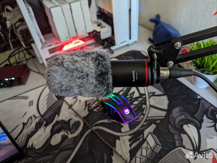 Solo studio 4th gen focusrite scarlett