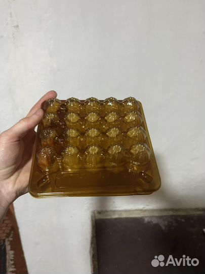 Ячейки для перепелиных яиц
