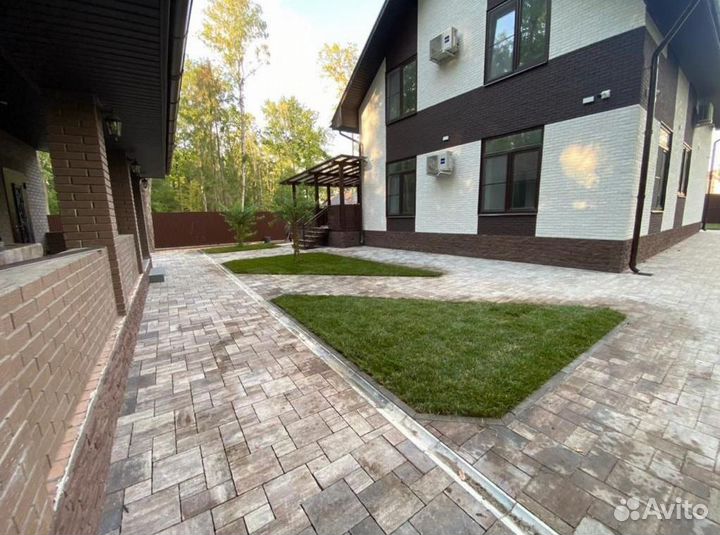 Рулонный газон