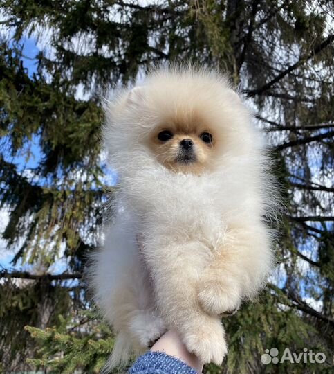 Кукольная малышка