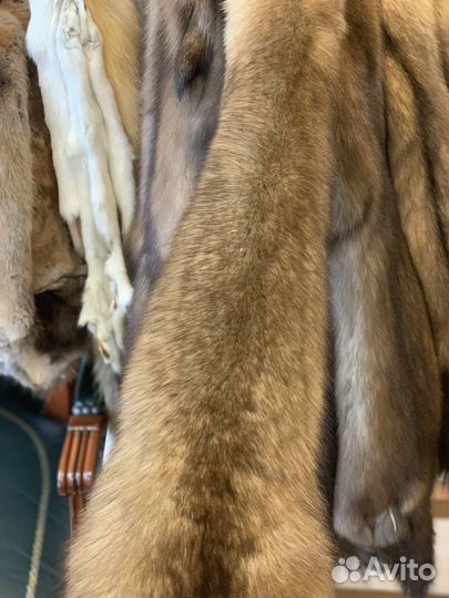 Шкурки Соболь продажа