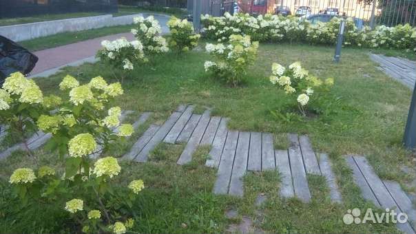 Уход за растениями, садовник