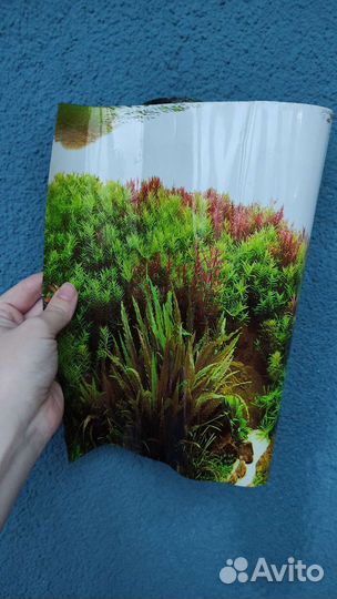 Кормушка для аквариума, задний фон для аквариума