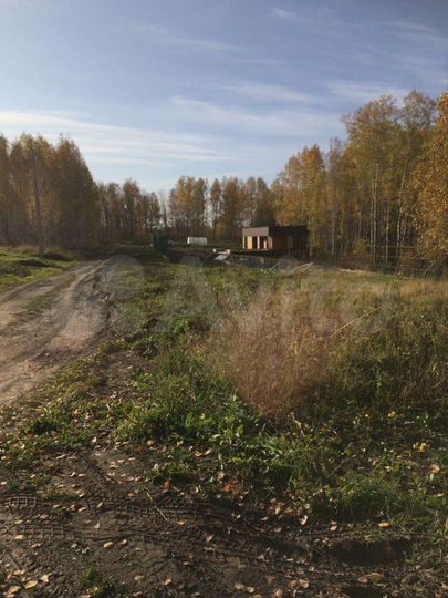 Участок 12 сот. (СНТ, ДНП)