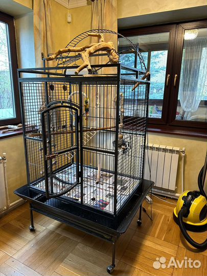 Клетка для крупных птиц