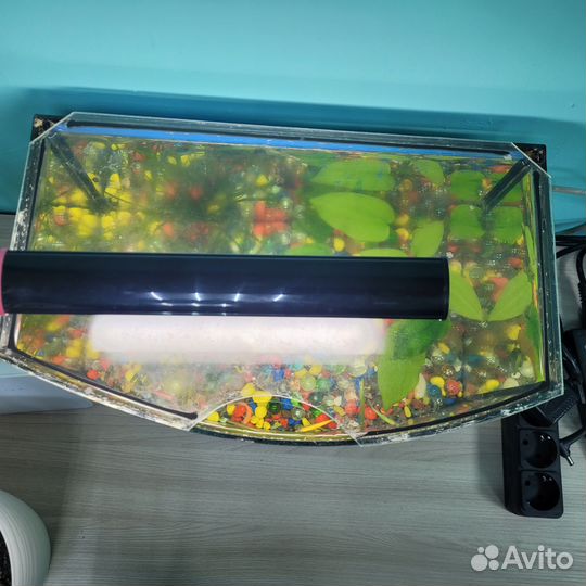 Аквариум с рыбками