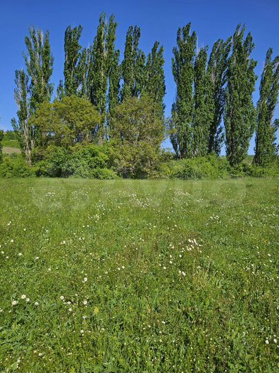 Участок 50 сот. (СНТ, ДНП)