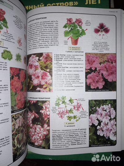 Крутая книга про комнатные растения