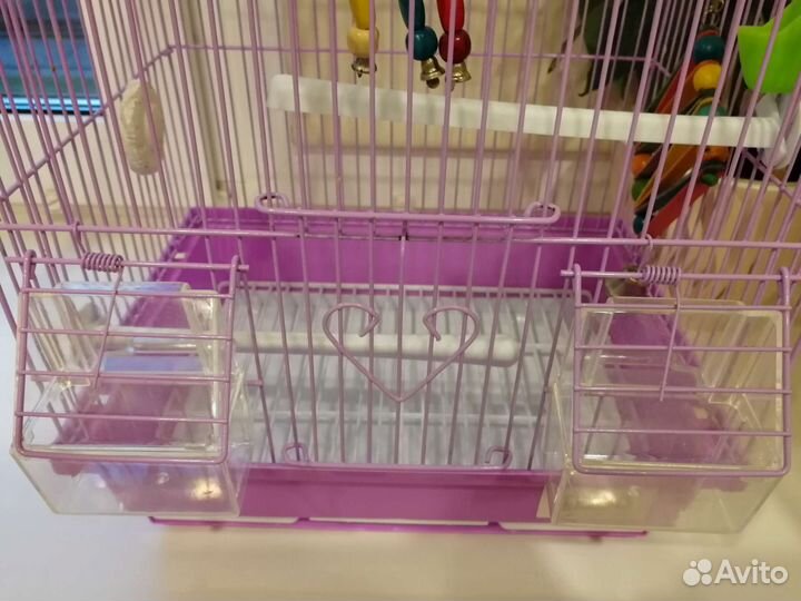 Клетка+корм