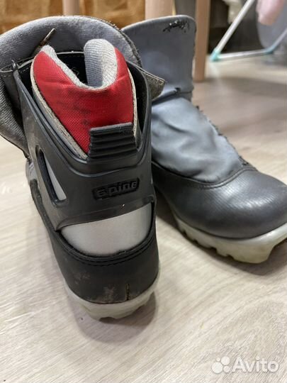 Ботинки для беговых лыж spine rider 38