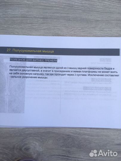 Анатомия для фитнес тренеров