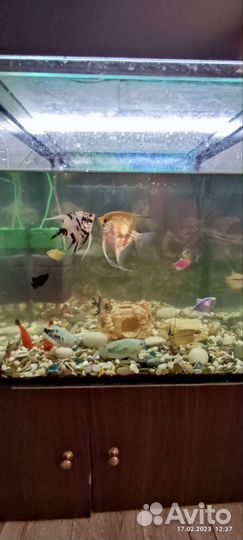 Аквариум
