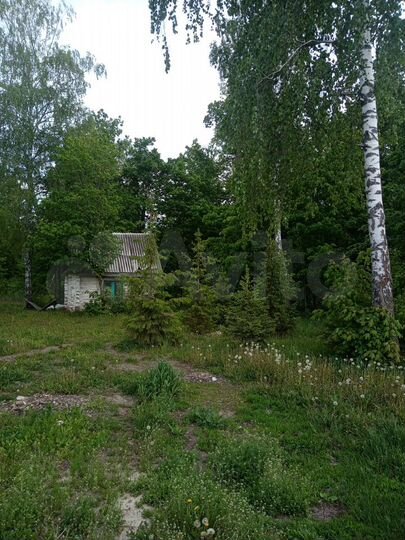 Участок 50 сот. (ИЖС)