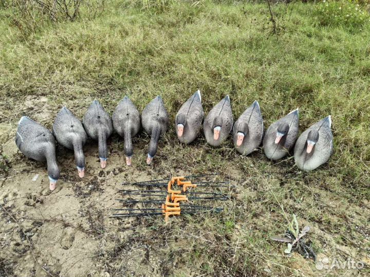 Чучела гусей Белолобых 3D 10шт