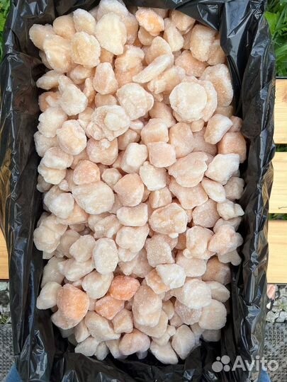 Гребешок Сахалинский 10/20