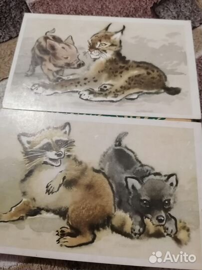 Открытки 1971 год художник Л. гамбургер