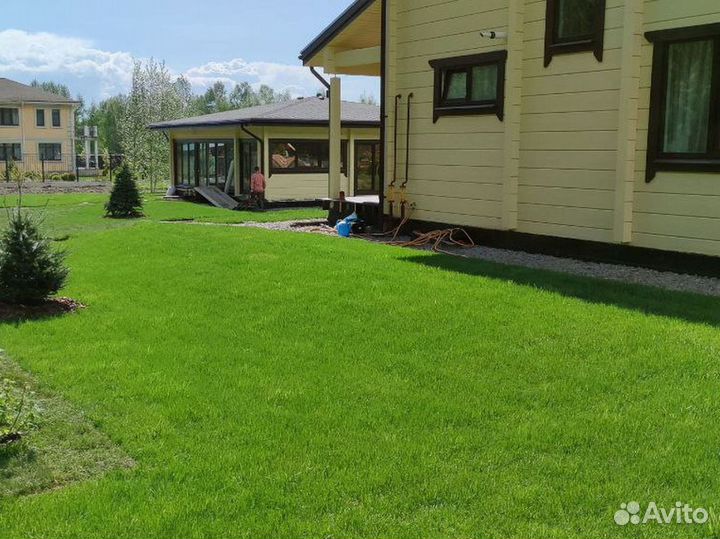 Качественный газон