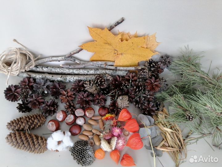 Природный материал на поделки в школу сад