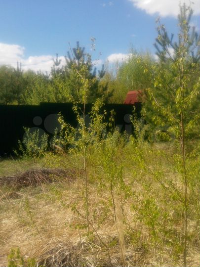 Участок 7 сот. (СНТ, ДНП)