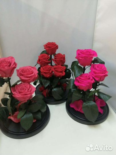 Цветы оптом