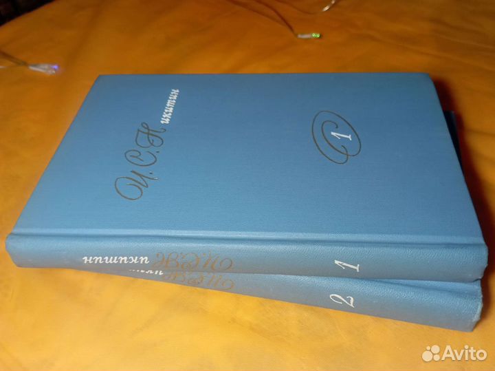 И. С. Никитин. Собрание сочинений. В двух томах