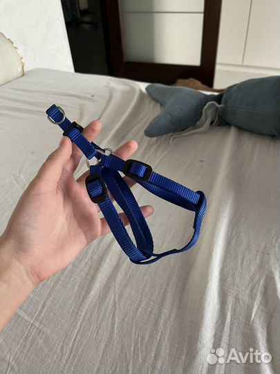 Амуниция для собак