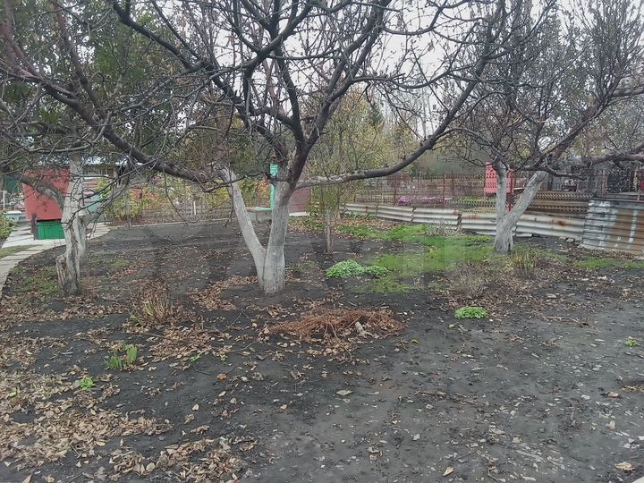 Участок 6 сот. (СНТ, ДНП)