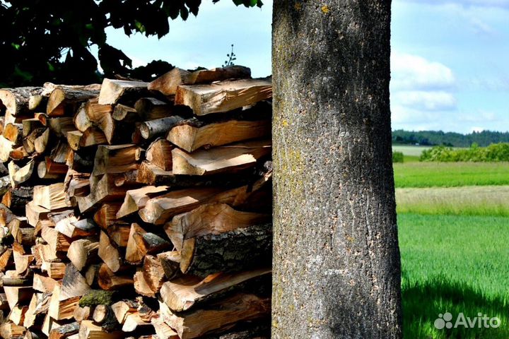 Дрова с Выборга