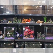 Аквариумы в ассортименте магазина Кантемировская, Москва
