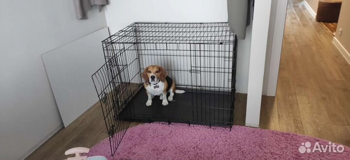 Клетка вольер для собак