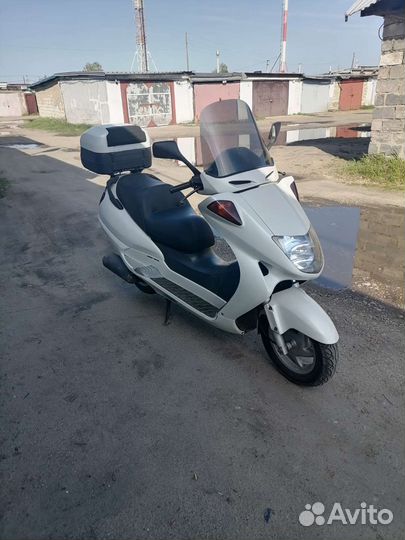 Максискутер Honda Foresight