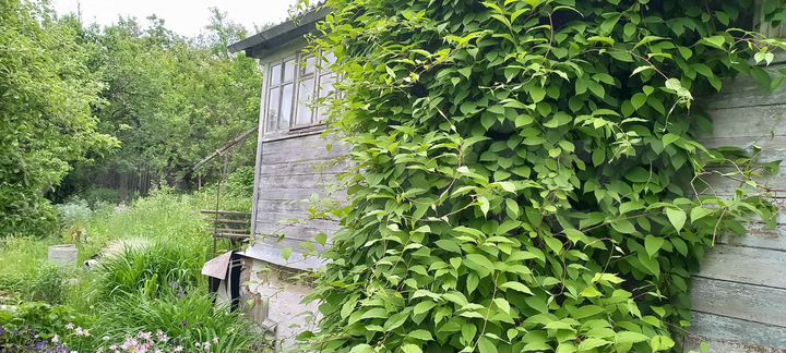 Дача 20 м² на участке 6 сот.