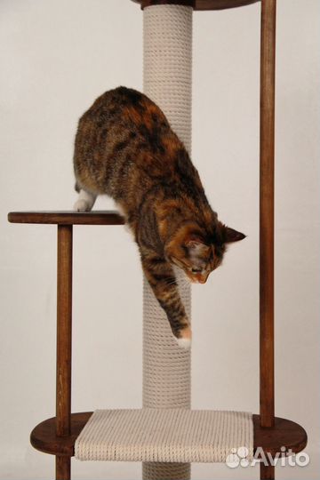Когтеточка для кошек