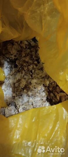 Мясо для собак (жир)