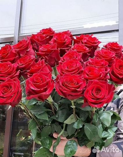 Высокие розы Гигантские розы Доставка цветов