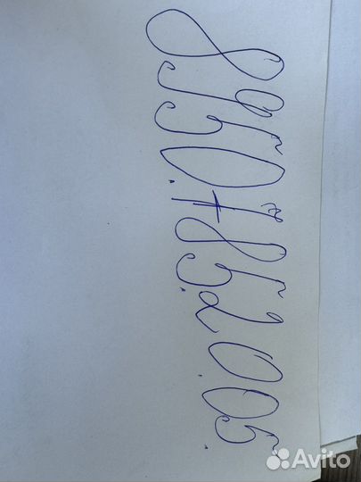 Овцы бараны