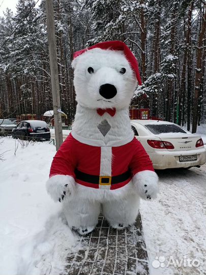 Белый Мишка или Чебурашка на поздравление
