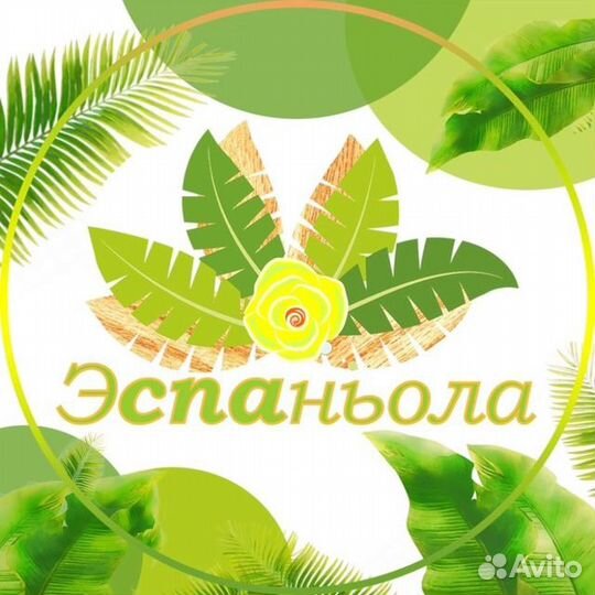 Массажист в спа-салон Шушары