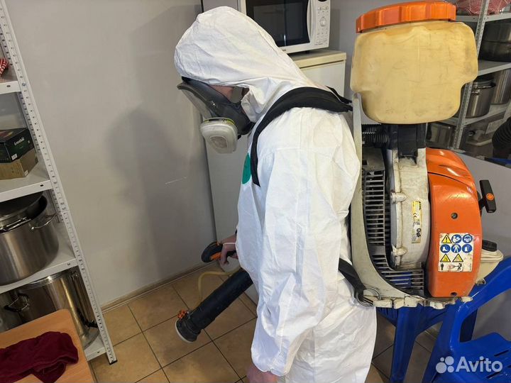 Уничтожение тараканов, клопов, муравьев, мышей