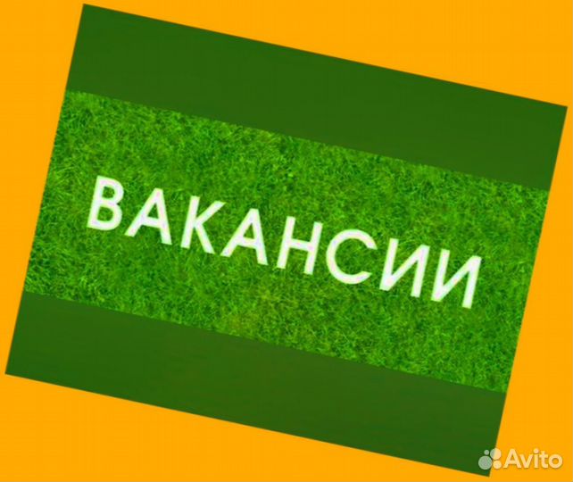 Комплектовщик Спецодежда Еженедельный аванс М/Ж