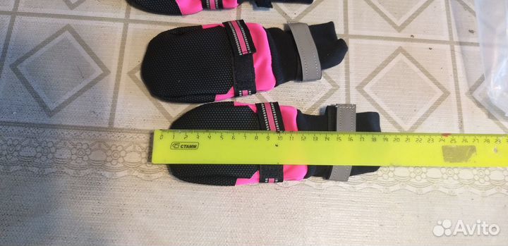 Лабутены для собаки