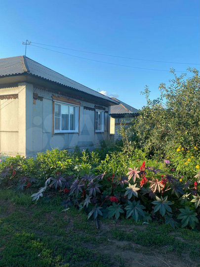 Дом 92 м² на участке 22 сот.