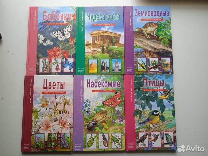 Школьный путеводитель 