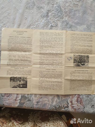 Футбол Программка Спартак-Атлетико