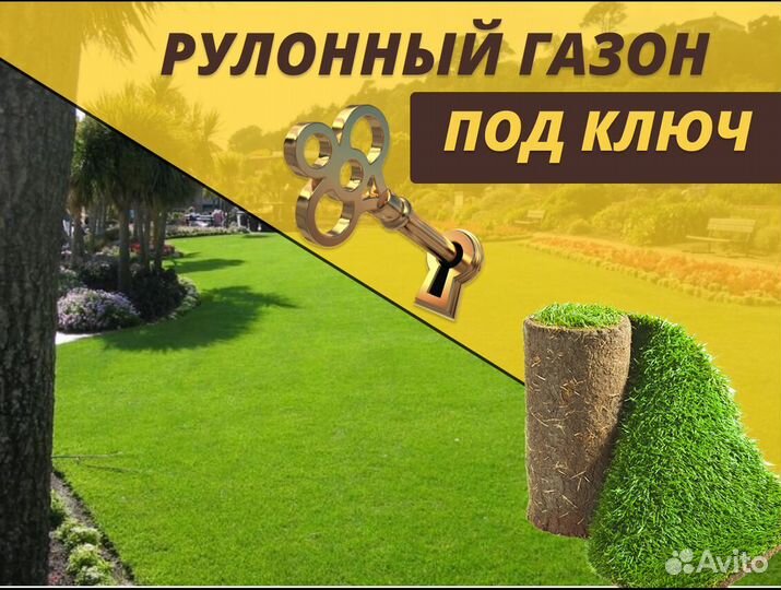 Газон рулонный Элитный